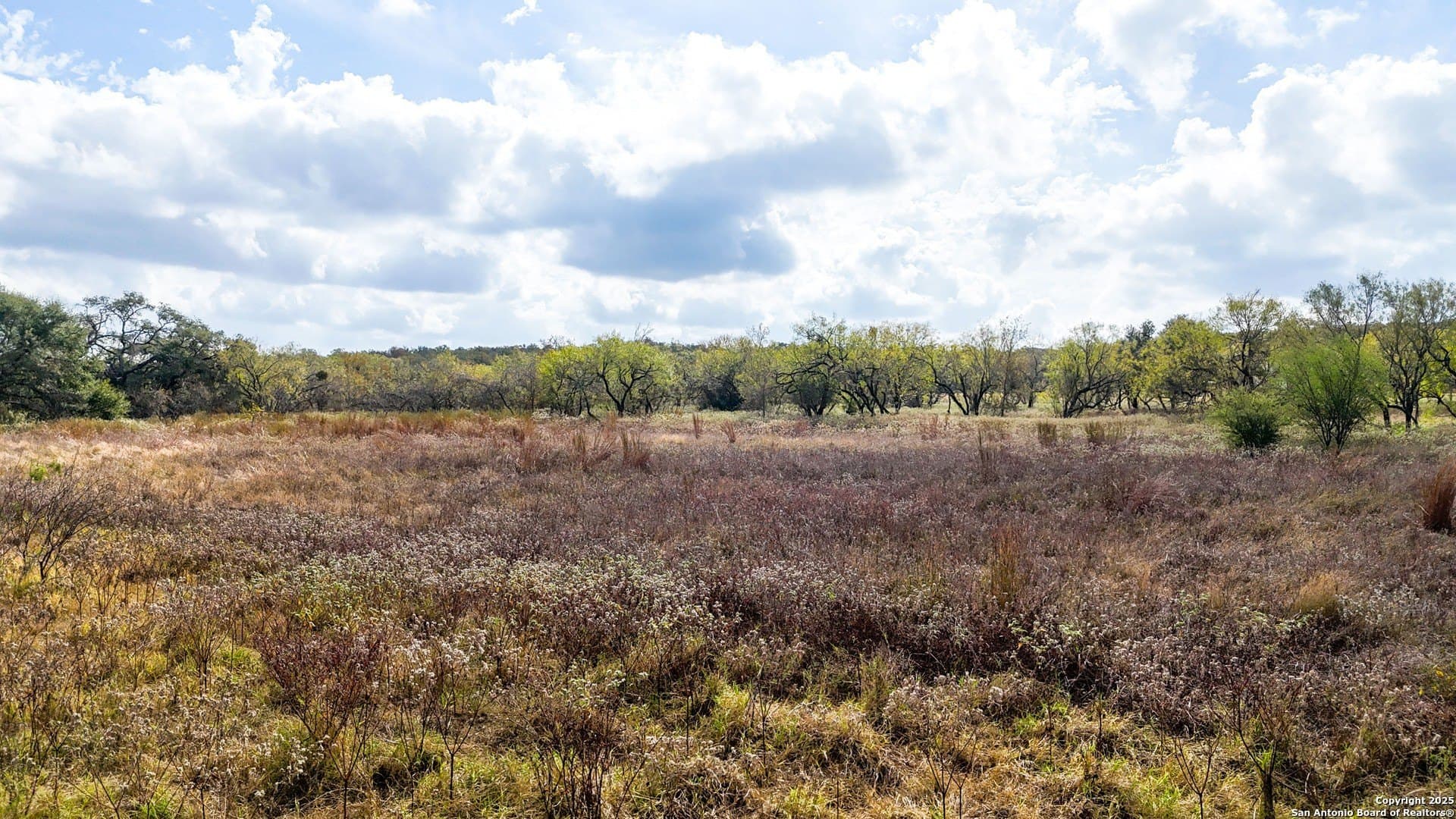 10.57 acres in Guadalupe County - photo 41