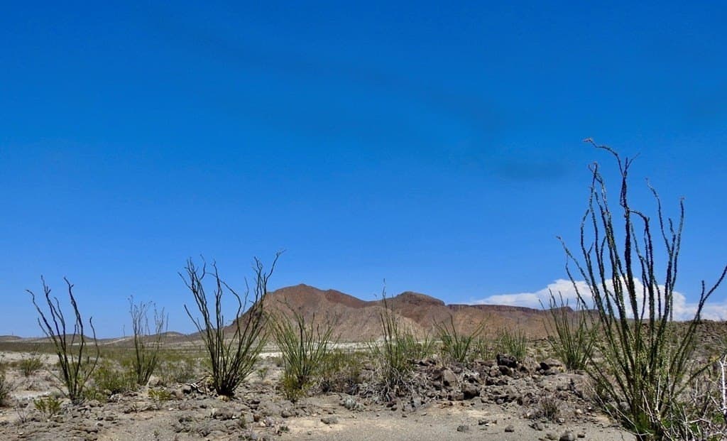 40 acres in Brewster County - photo 25