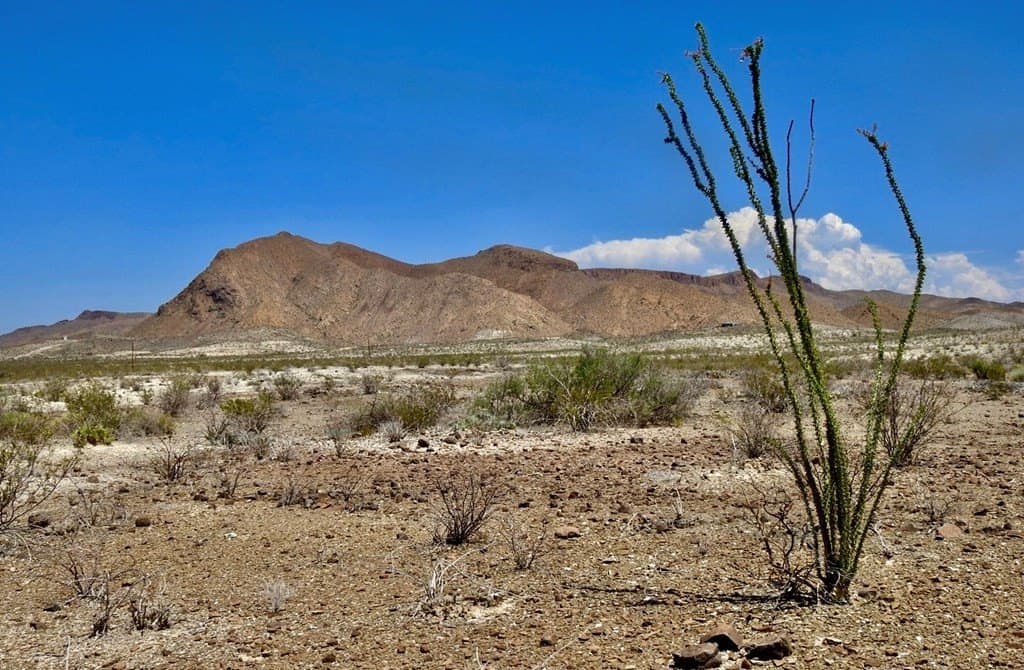 40 acres in Brewster County - photo 11