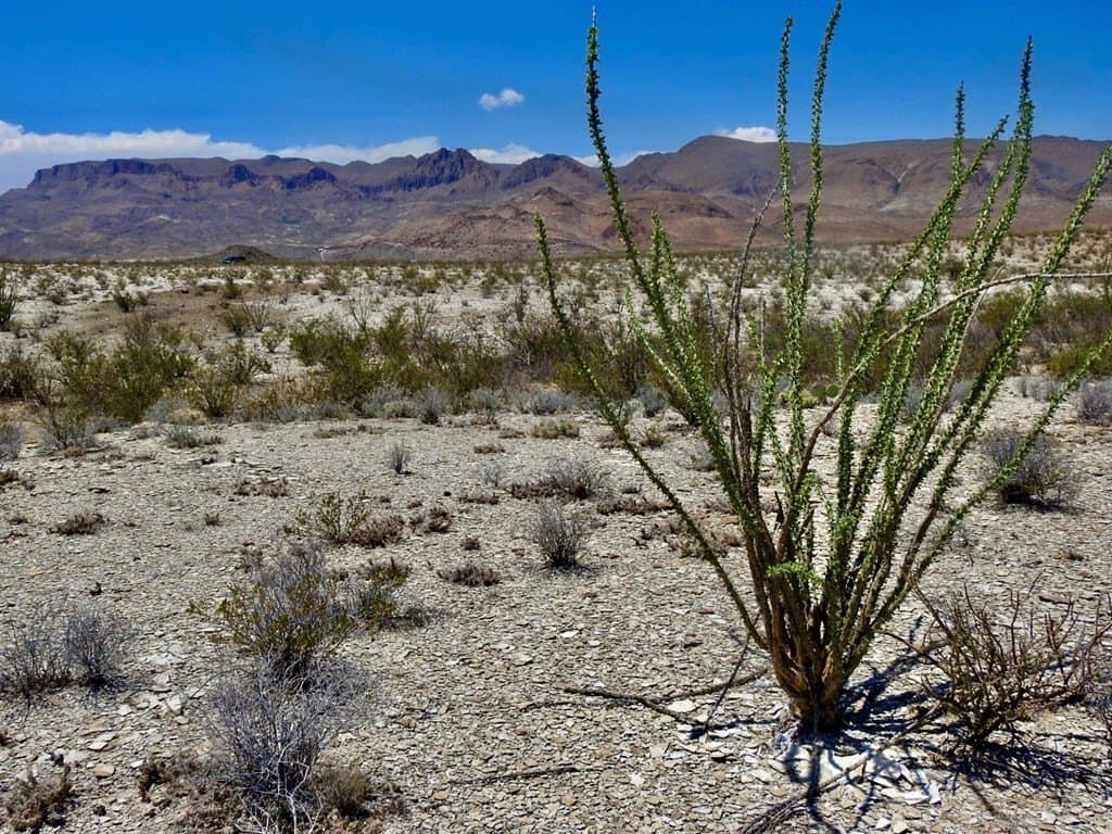 40 acres in Brewster County - photo 10