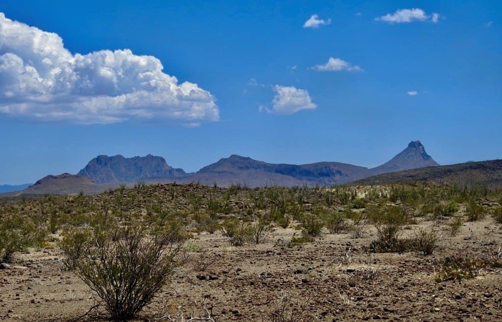 40 acres in Brewster County gallery image 4