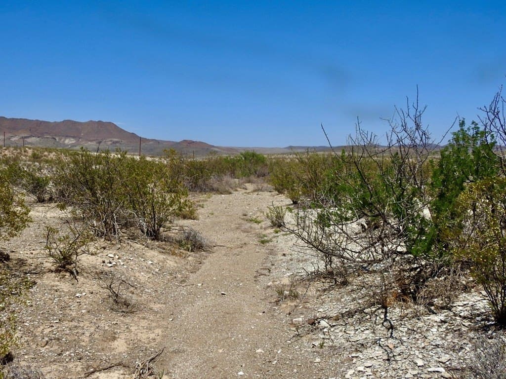 40 acres in Brewster County - photo 19