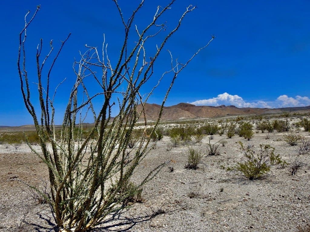 40 acres in Brewster County - photo 16