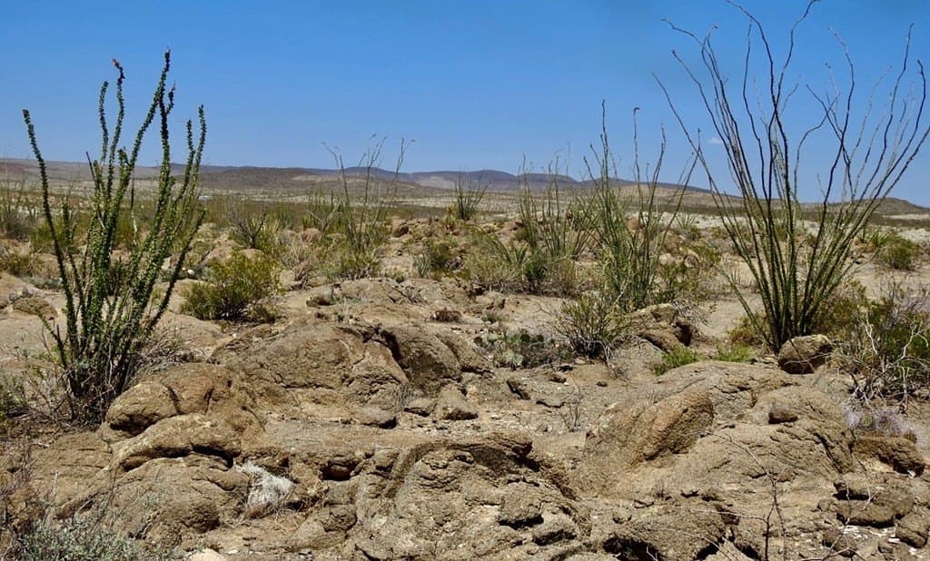 40 acres in Brewster County - photo 31