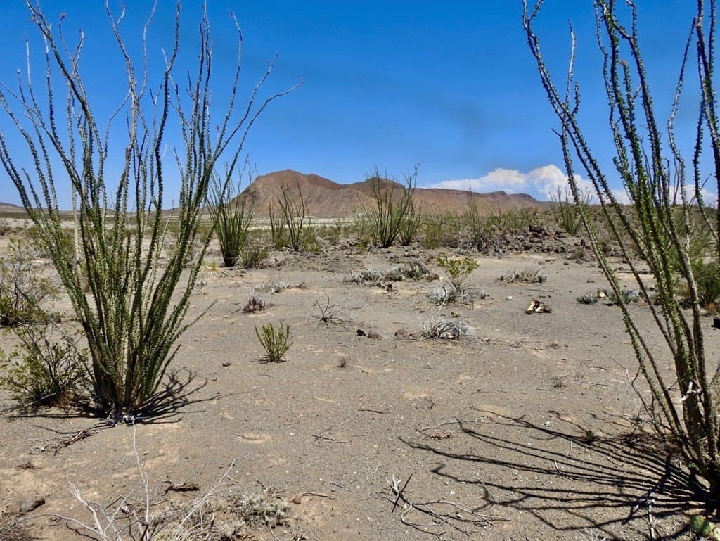 40 acres in Brewster County - photo 34