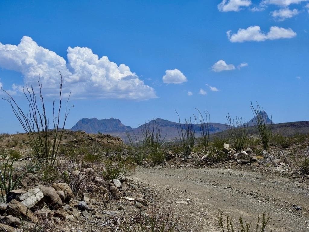40 acres in Brewster County gallery image 2