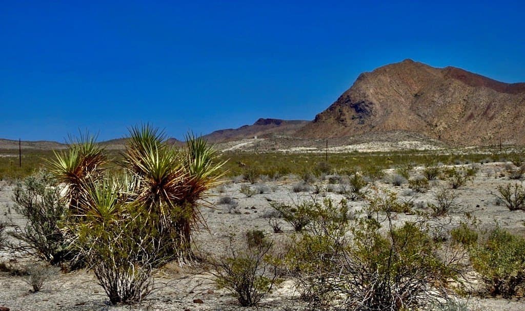40 acres in Brewster County featured view
