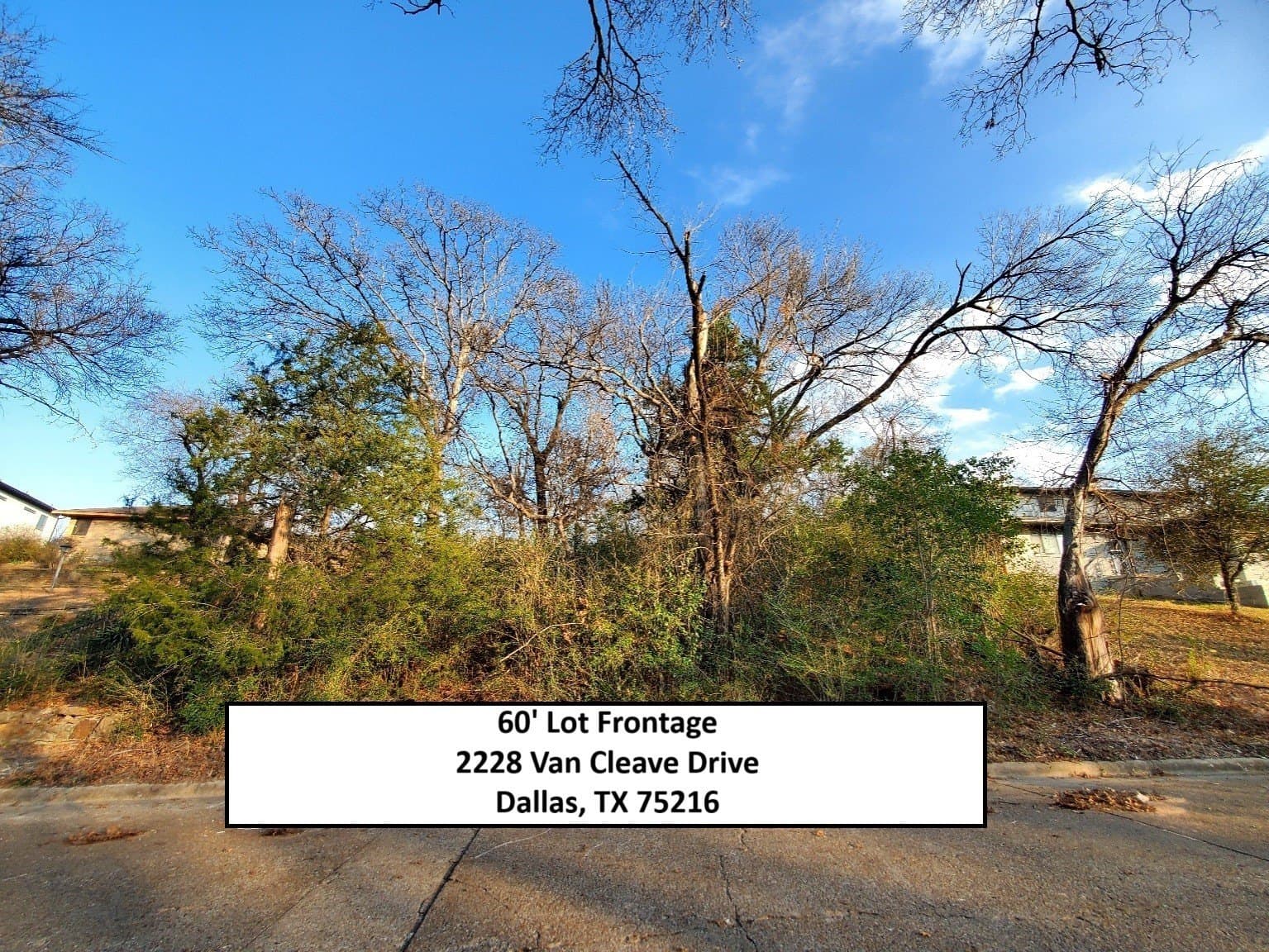 0.3 acres in Dallas County - photo 2