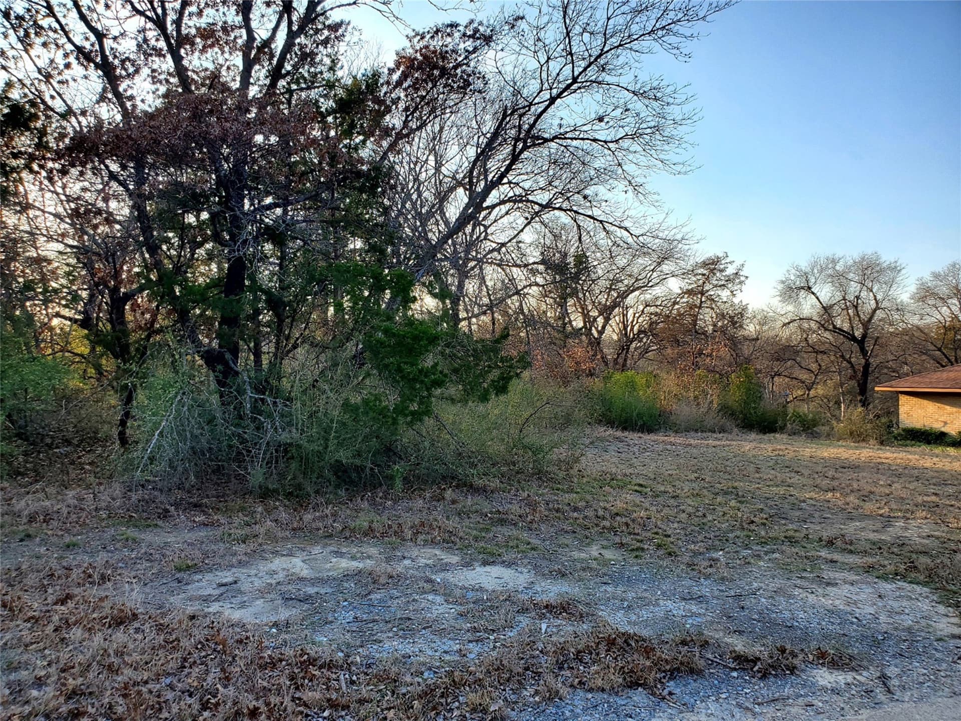 0.3 acres in Dallas County - photo 6