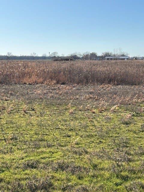 5.02 acres in Fannin County - photo 2