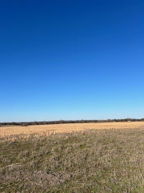 5.02 acres in Fannin County - photo 6