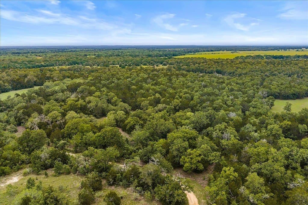 29.98 acres in Fayette County - photo 8