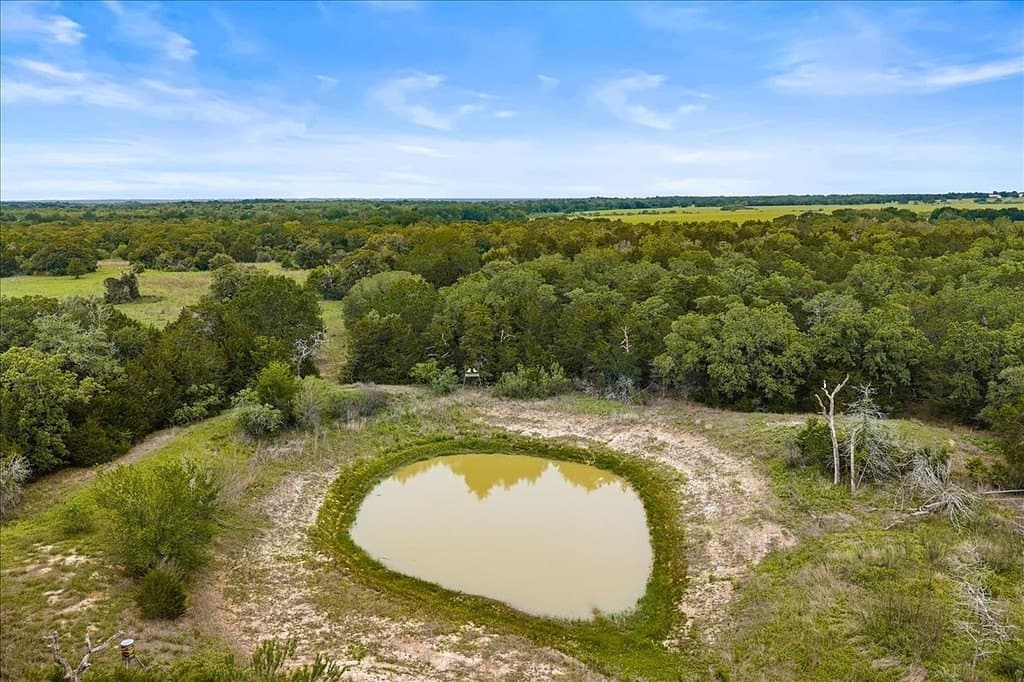 29.98 acres in Fayette County gallery image 3