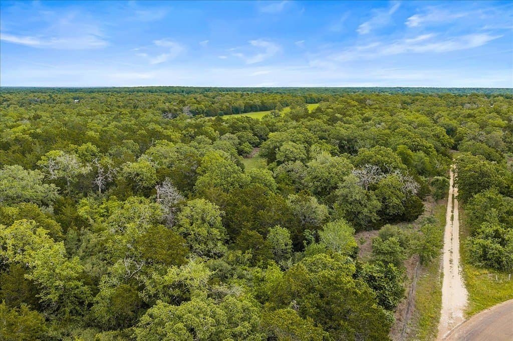 29.98 acres in Fayette County - photo 13
