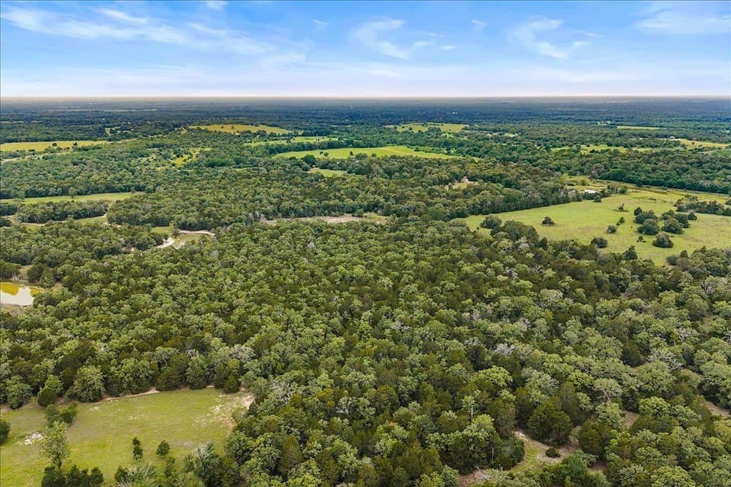 29.98 acres in Fayette County - photo 10