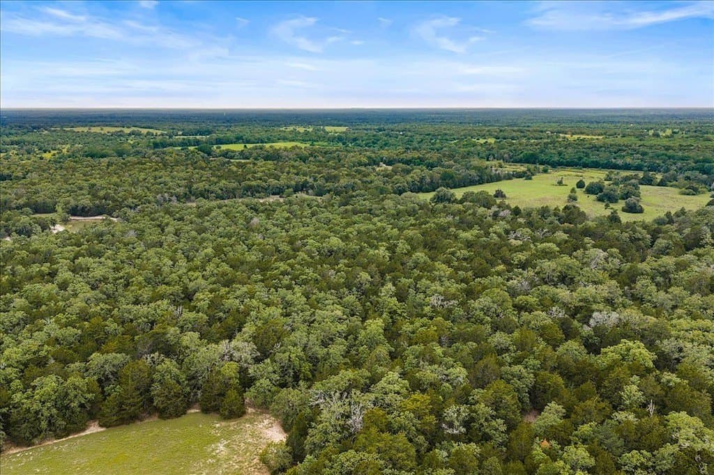 29.98 acres in Fayette County - photo 11