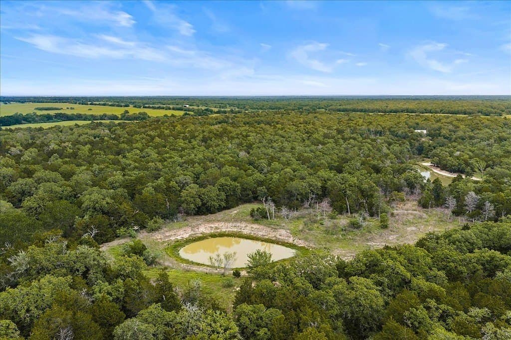 29.98 acres in Fayette County gallery image 4