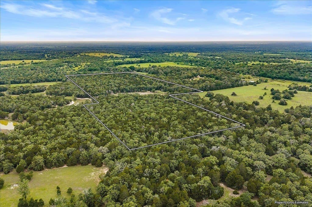 29.98 acres in Fayette County - photo 16