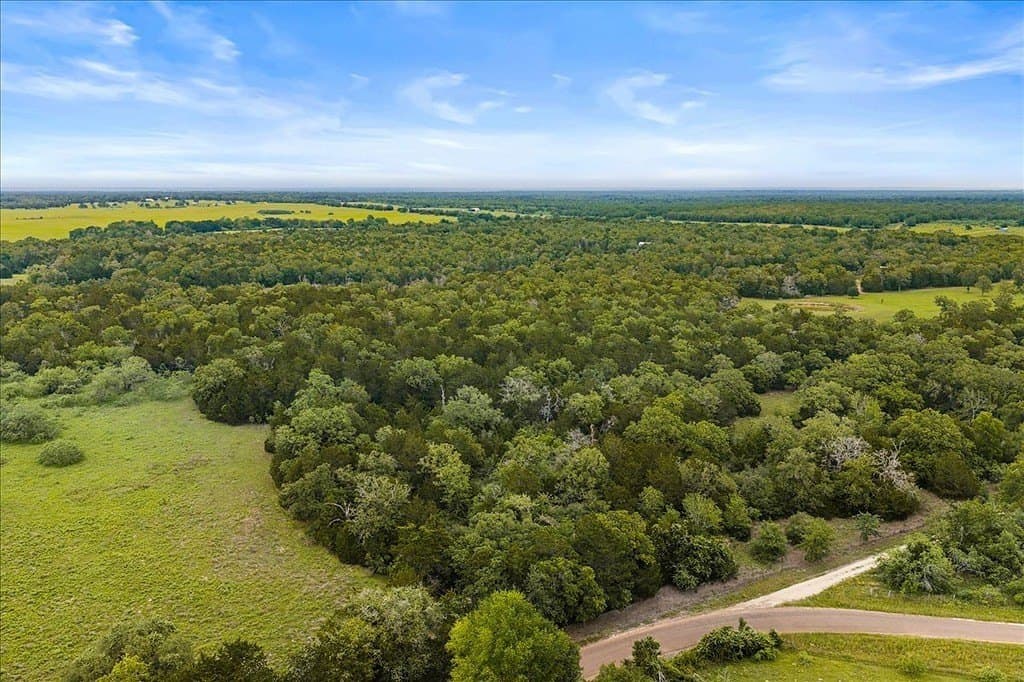 29.98 acres in Fayette County - photo 7