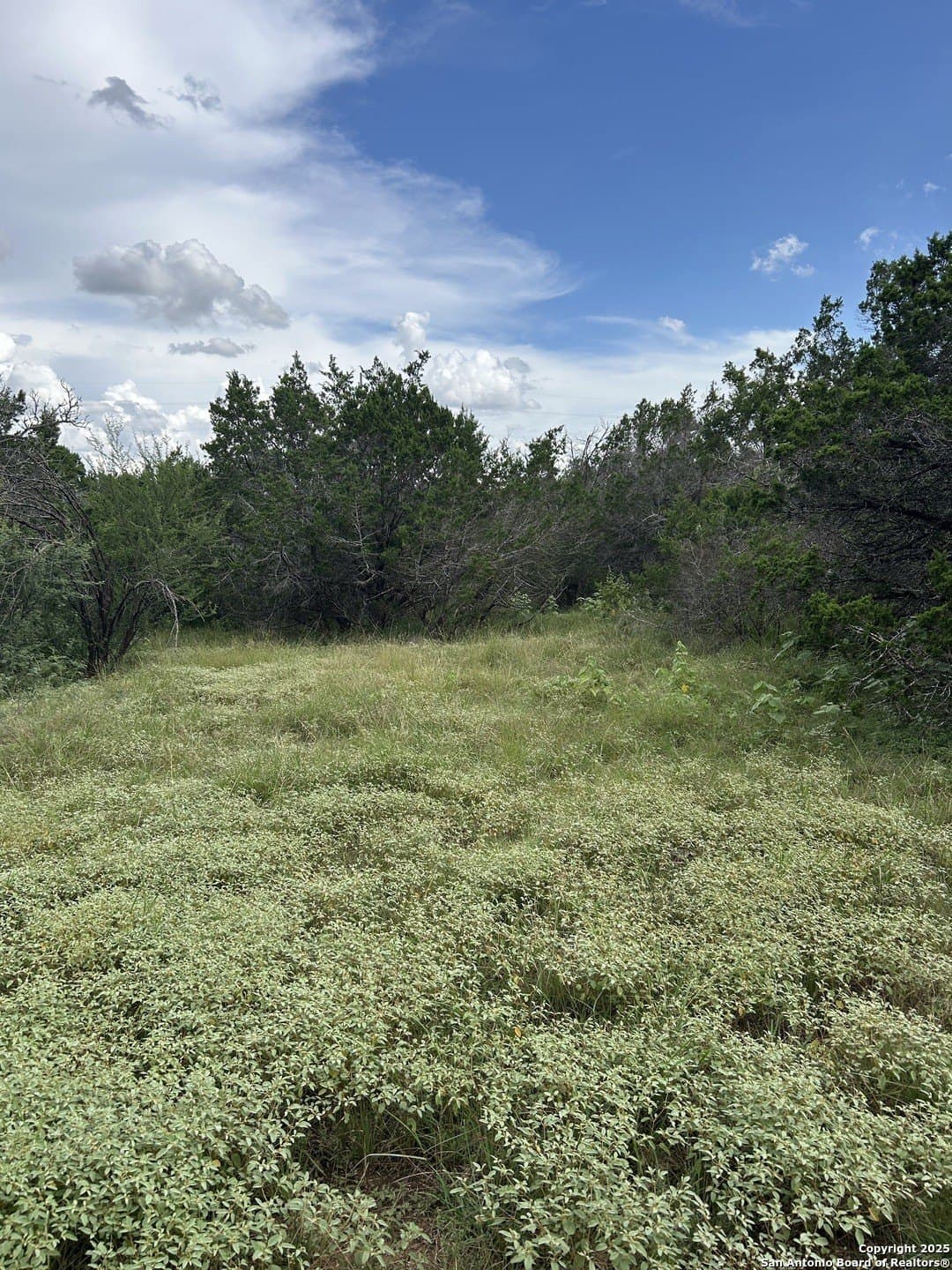 191.91 acres in Comal County - photo 11