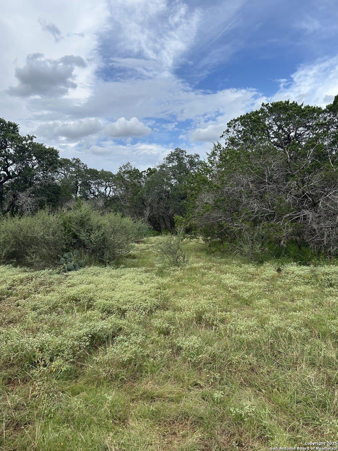 191.91 acres in Comal County - photo 13