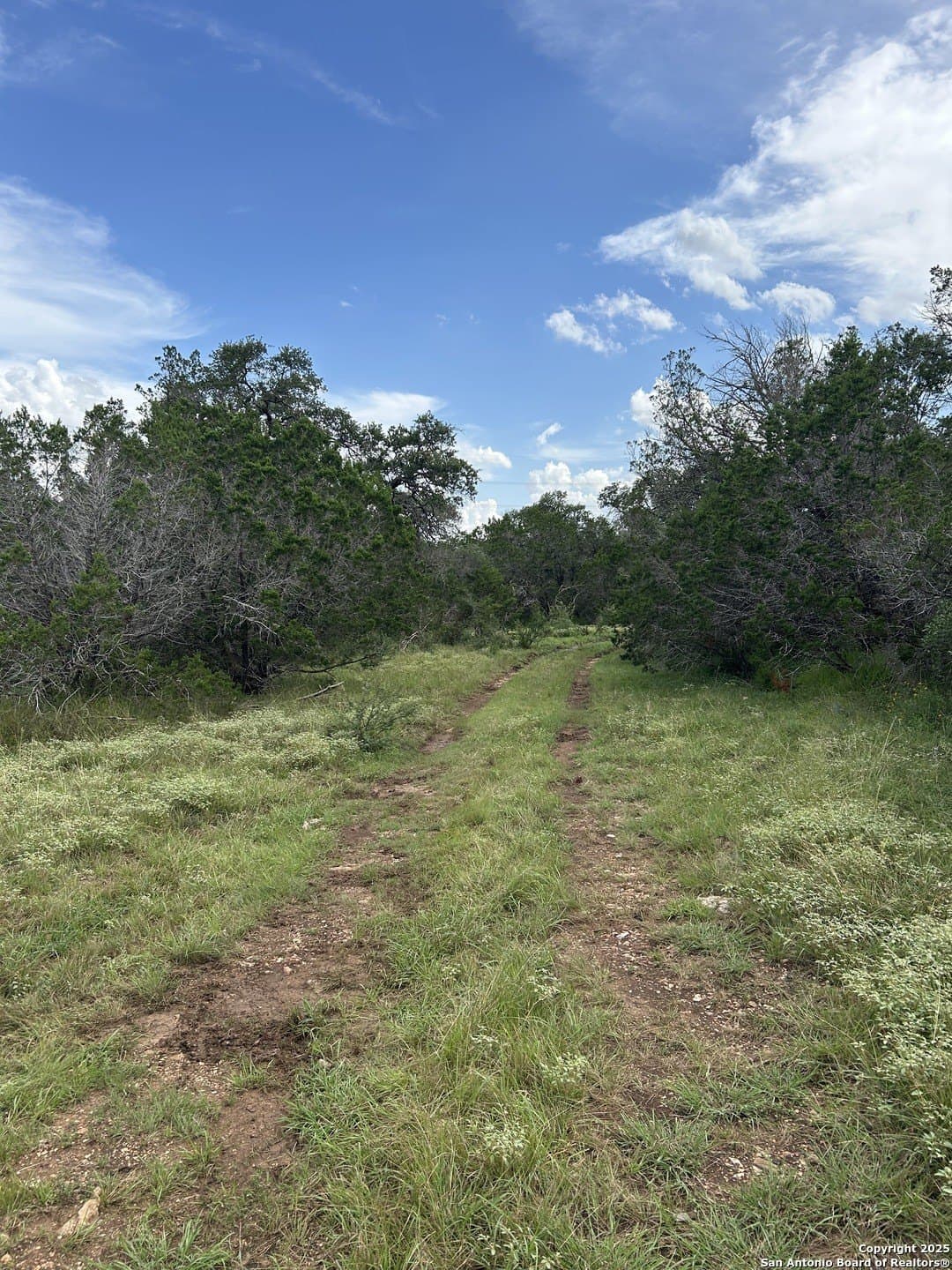 191.91 acres in Comal County - photo 12