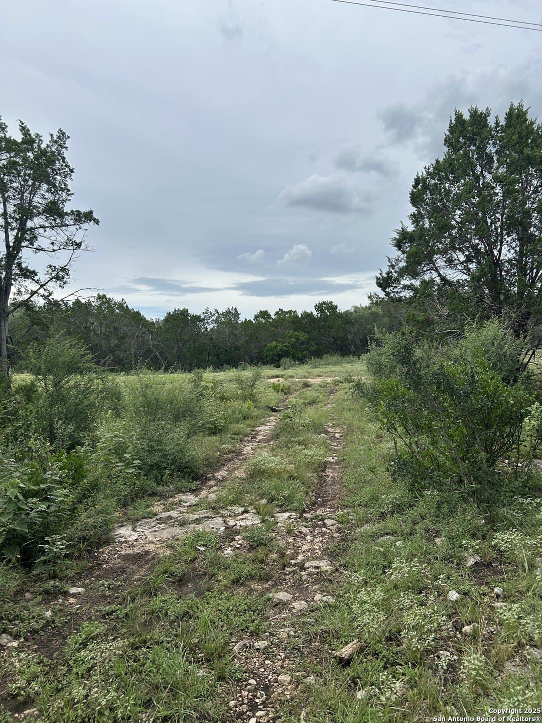 191.91 acres in Comal County - photo 9