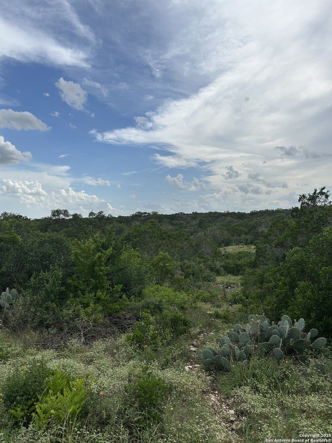 191.91 acres in Comal County - photo 4