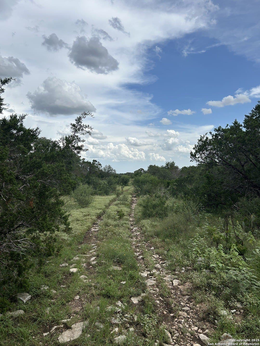 191.91 acres in Comal County - photo 8