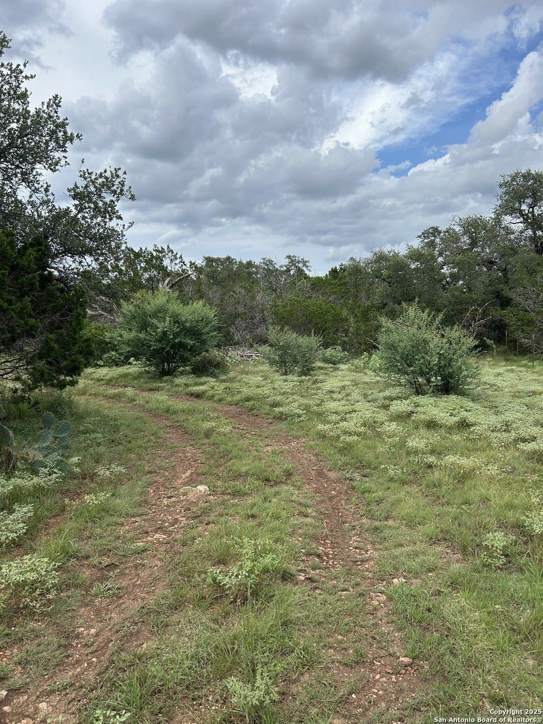 191.91 acres in Comal County - photo 5