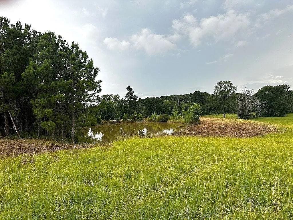 24 acres in Cherokee County gallery image 2