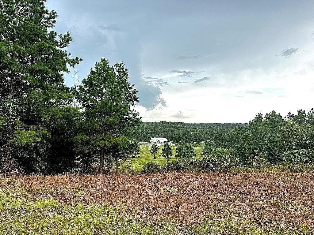 24 acres in Cherokee County gallery image 4