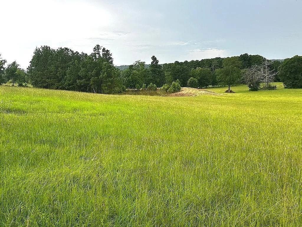 24 acres in Cherokee County gallery image 3