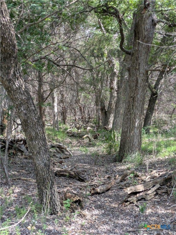 14.44 acres in Lampasas County - photo 6