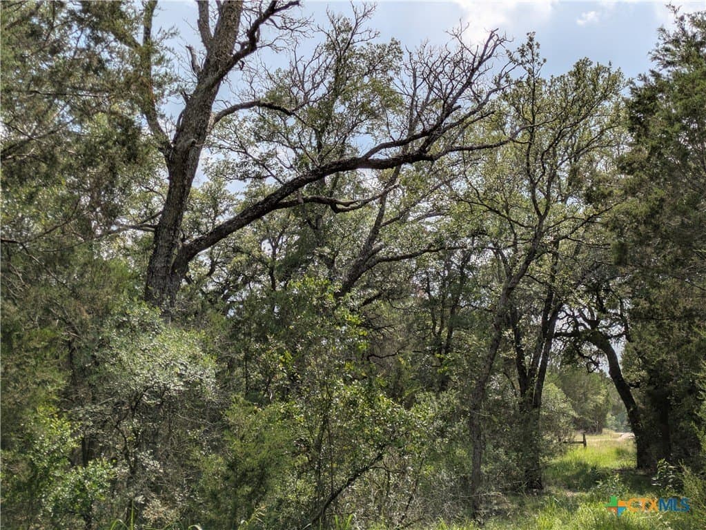 14.44 acres in Lampasas County - photo 9