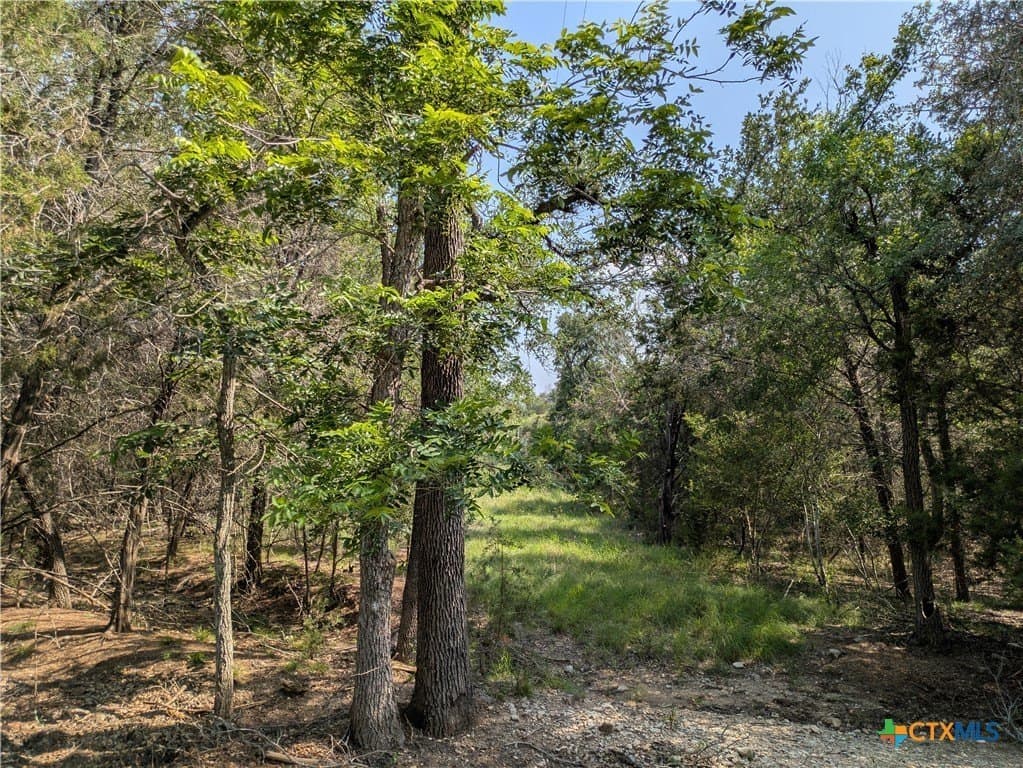 14.44 acres in Lampasas County - photo 7