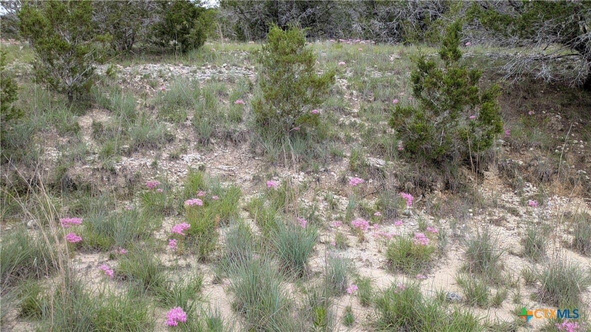 14.44 acres in Lampasas County - photo 12
