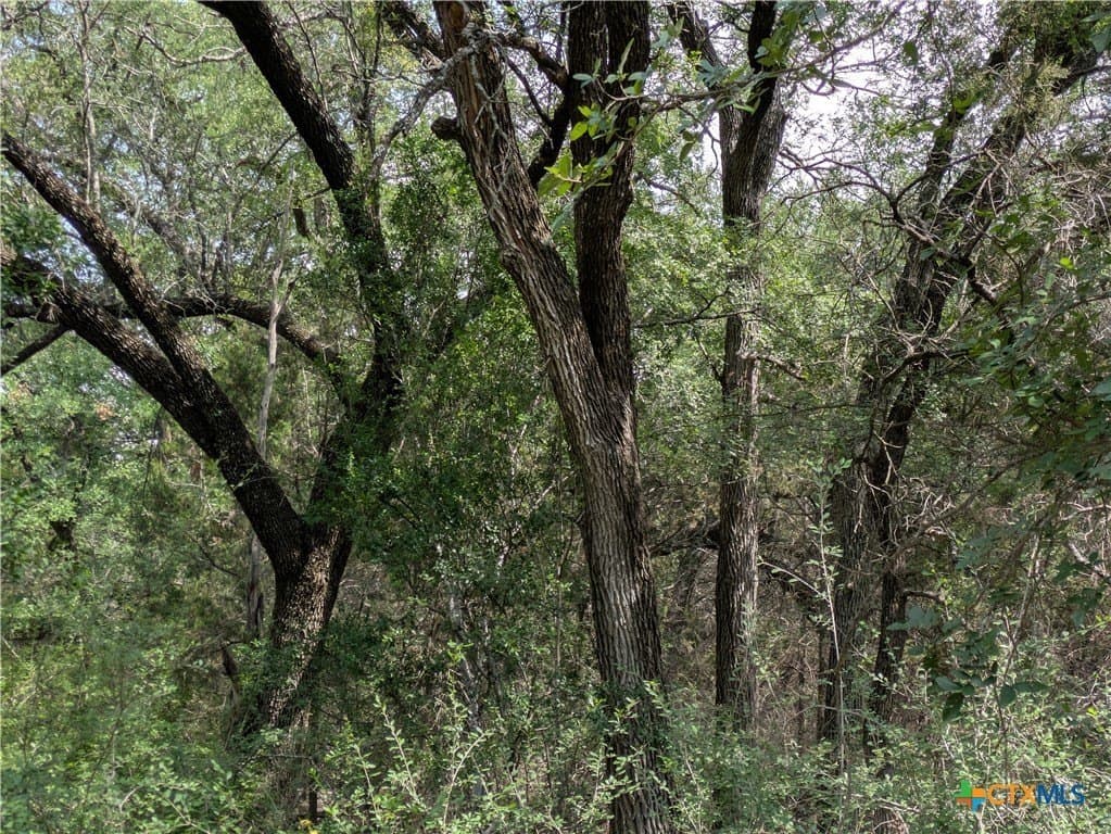 14.44 acres in Lampasas County - photo 8
