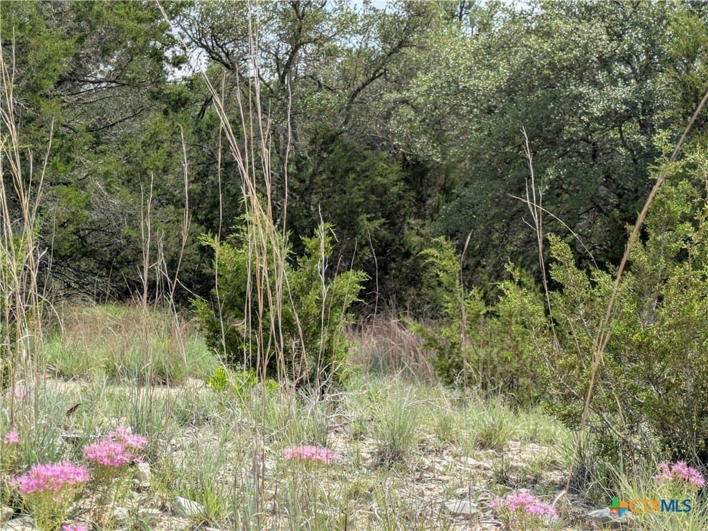 14.44 acres in Lampasas County - photo 11