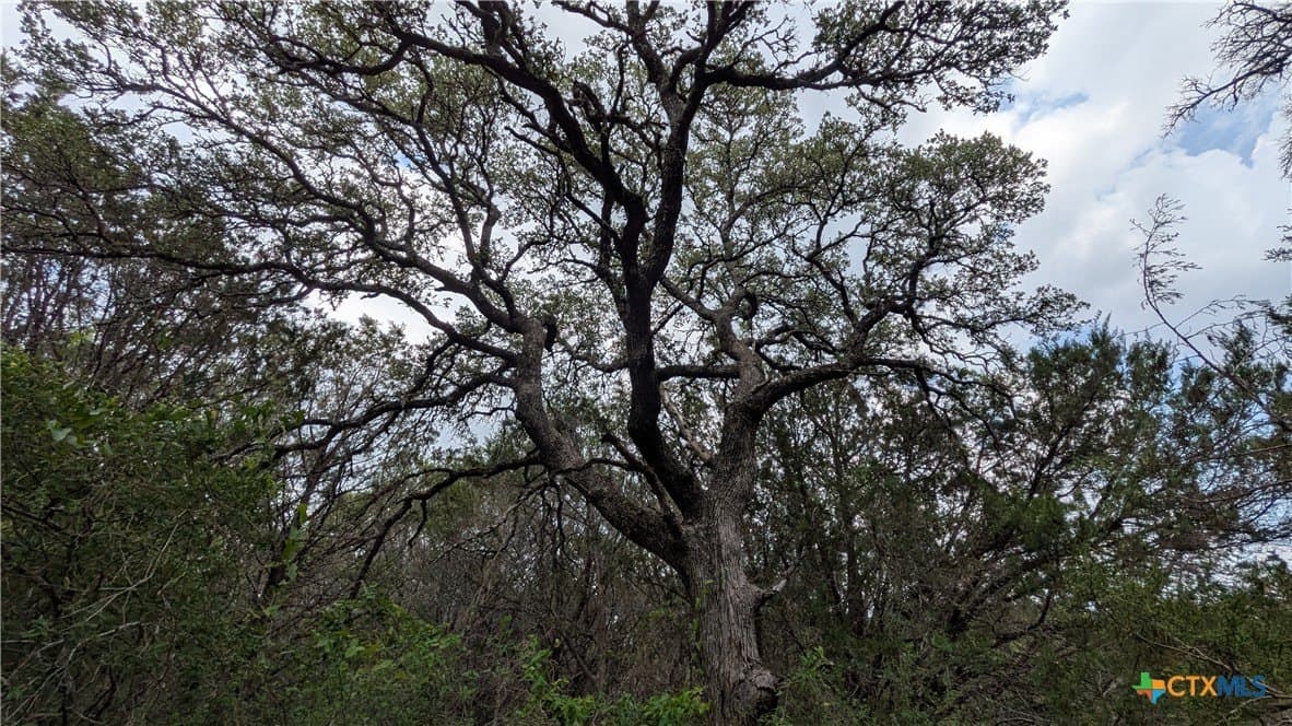14.44 acres in Lampasas County - photo 10