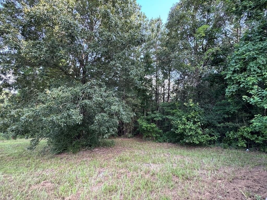 3.29 acres in Texas County