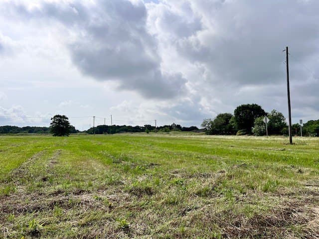 20.52 acres in Navarro County gallery image 4