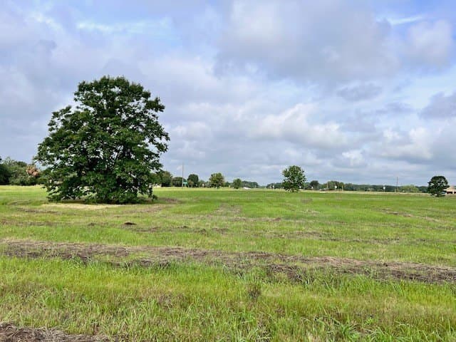20.52 acres in Navarro County - photo 28