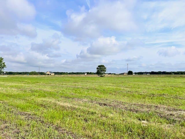 20.52 acres in Navarro County - photo 9