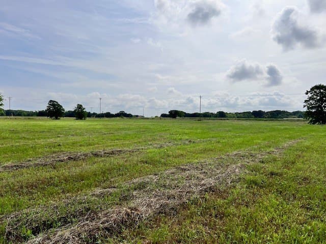 20.52 acres in Navarro County - photo 27