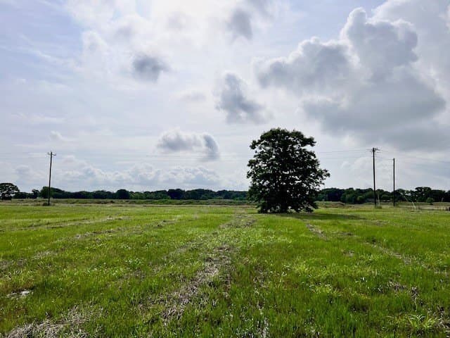 20.52 acres in Navarro County - photo 11