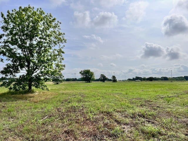 20.52 acres in Navarro County gallery image 3