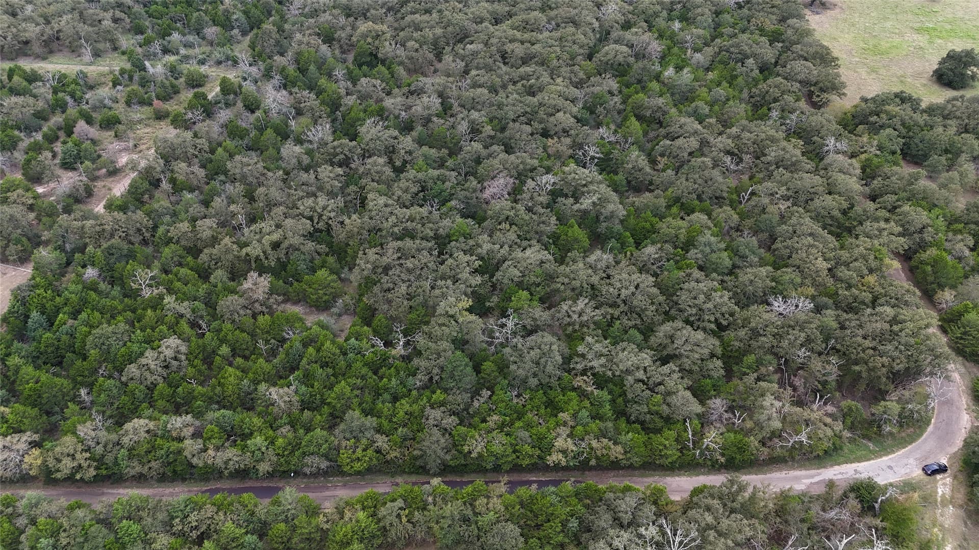 25.9 acres in Limestone County gallery image 3