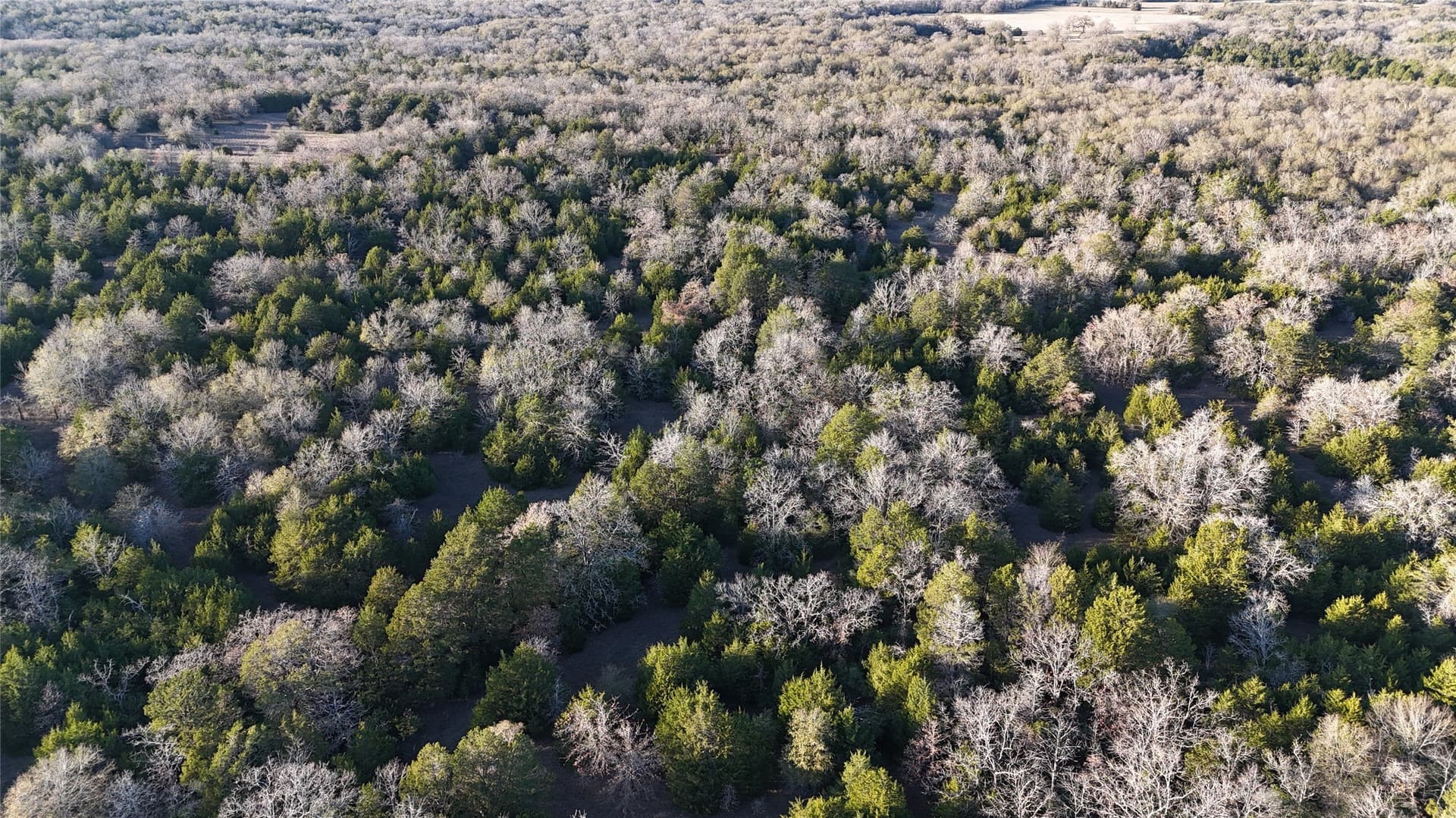 25.9 acres in Limestone County