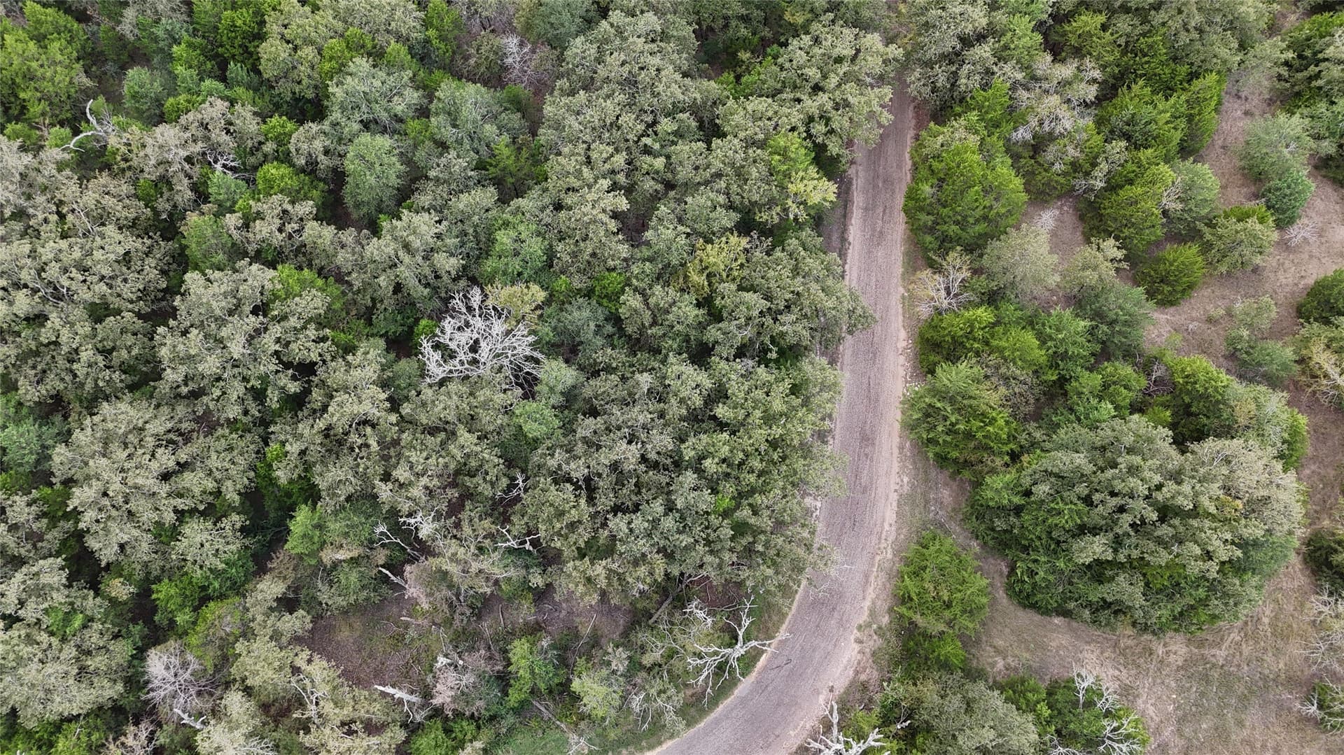 25.9 acres in Limestone County gallery image 2